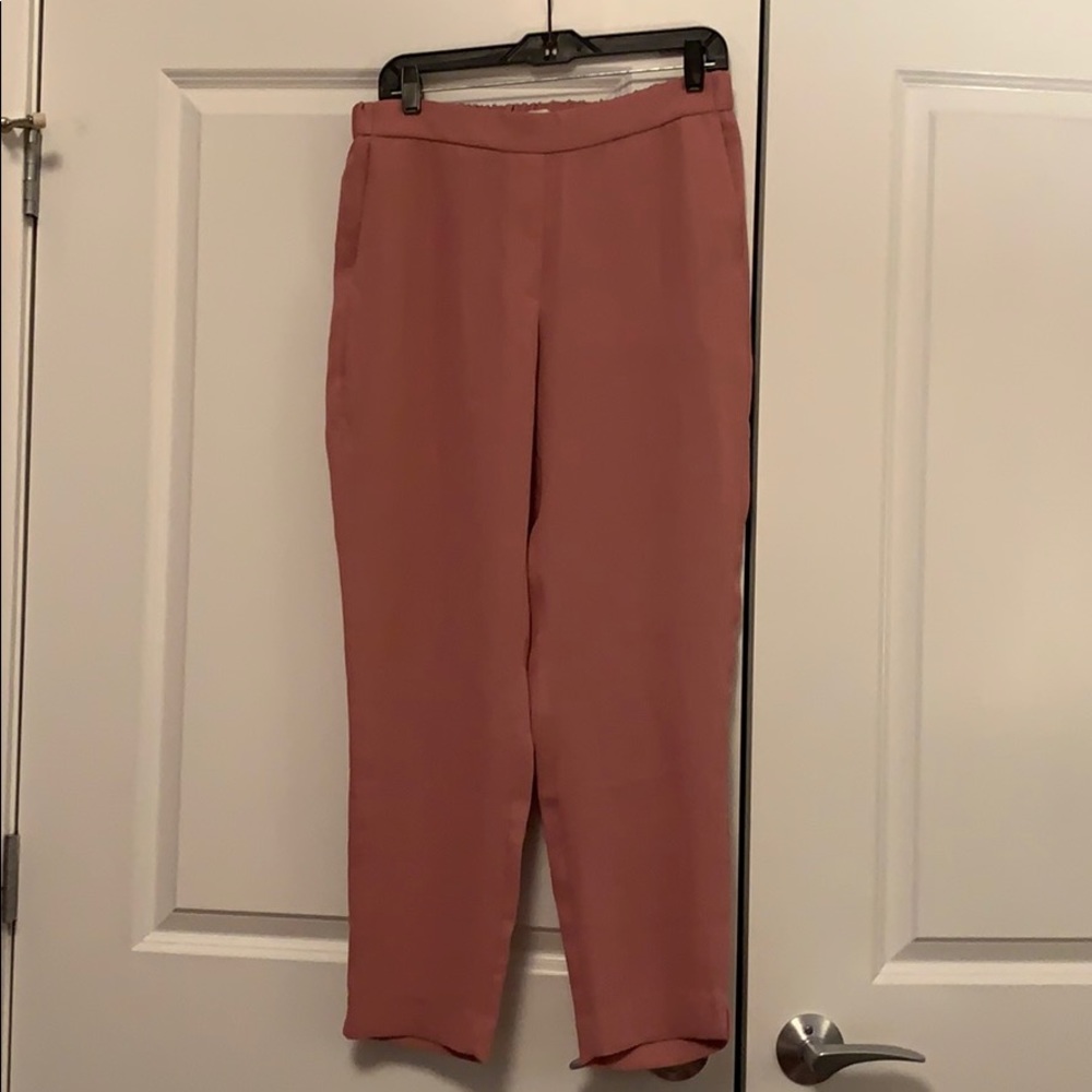 J crew pink pants. New with tag. Size 10